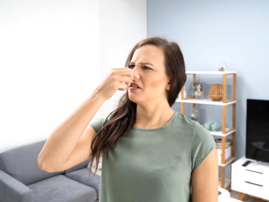 химчистка ковров