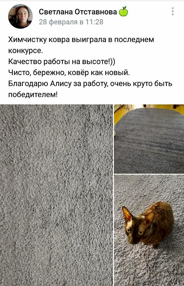 чистка ковров алиса отзывы