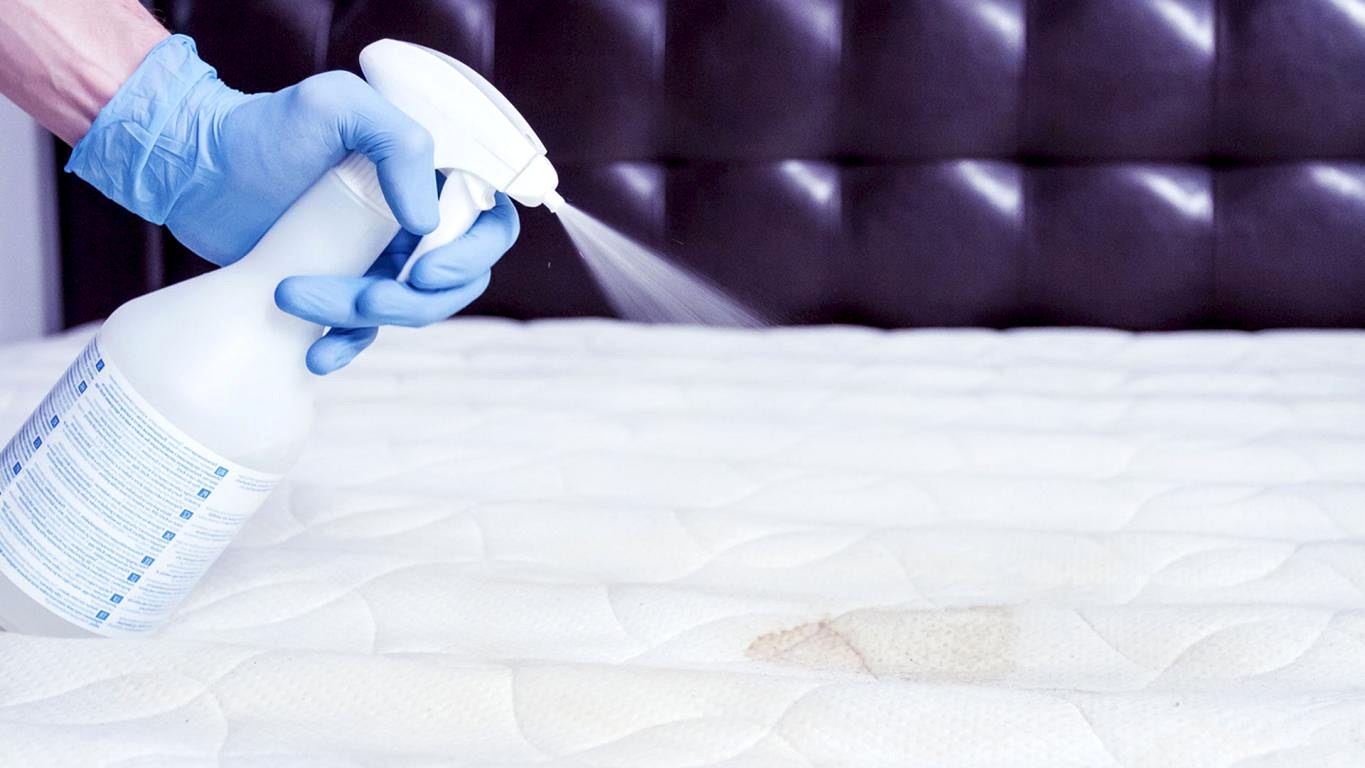 чистка диванов